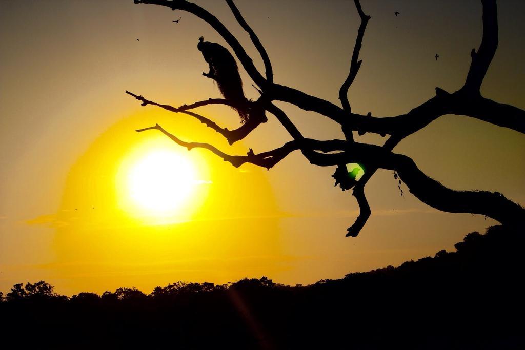 Kataragama Homestay Exteriér fotografie