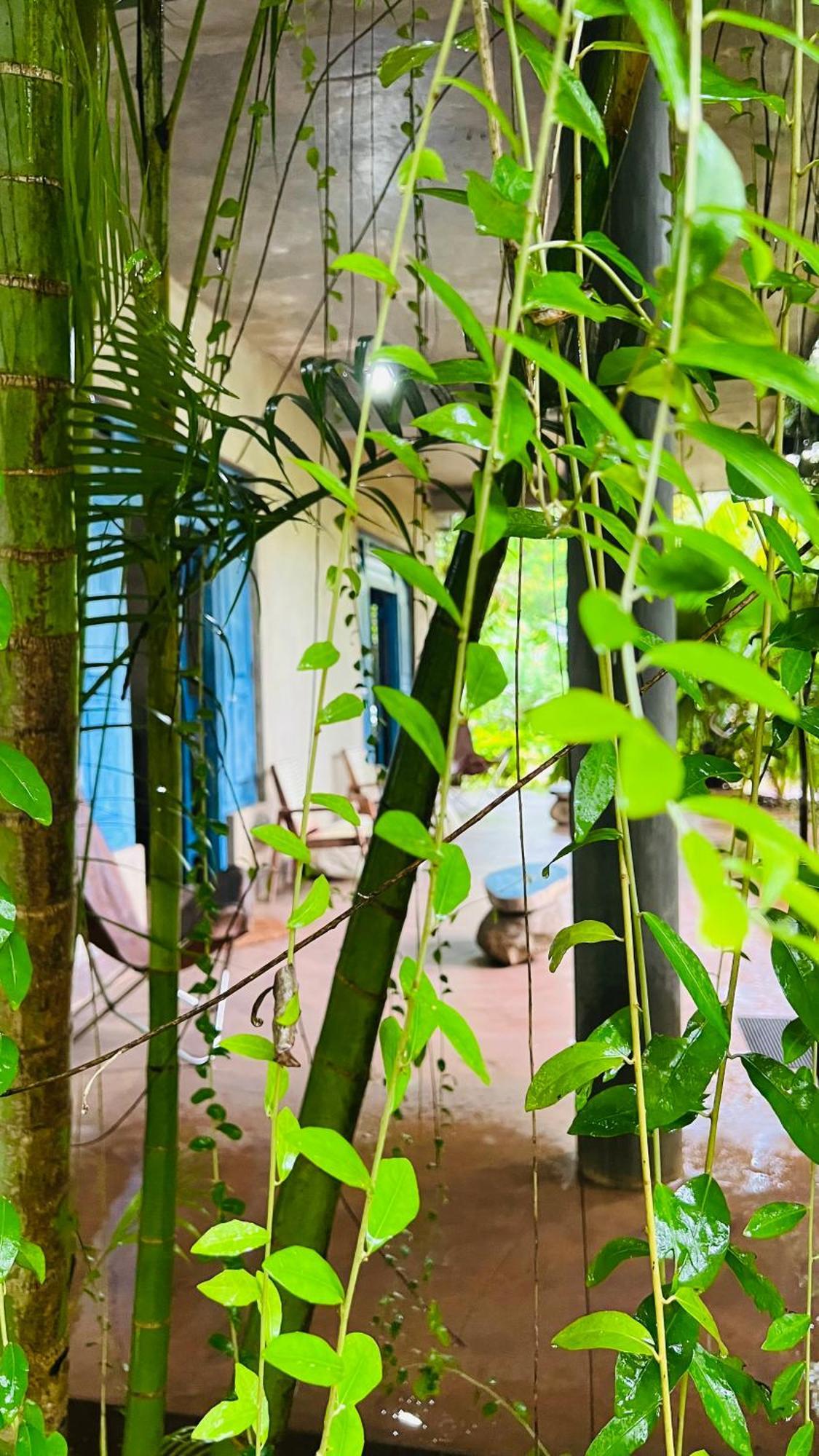 Kataragama Homestay Exteriér fotografie