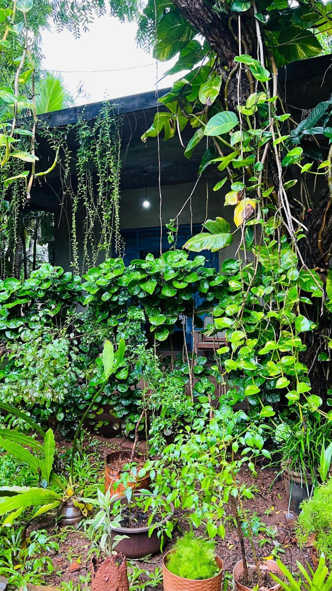 Kataragama Homestay Exteriér fotografie