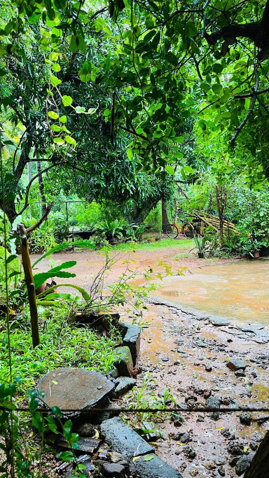 Kataragama Homestay Exteriér fotografie