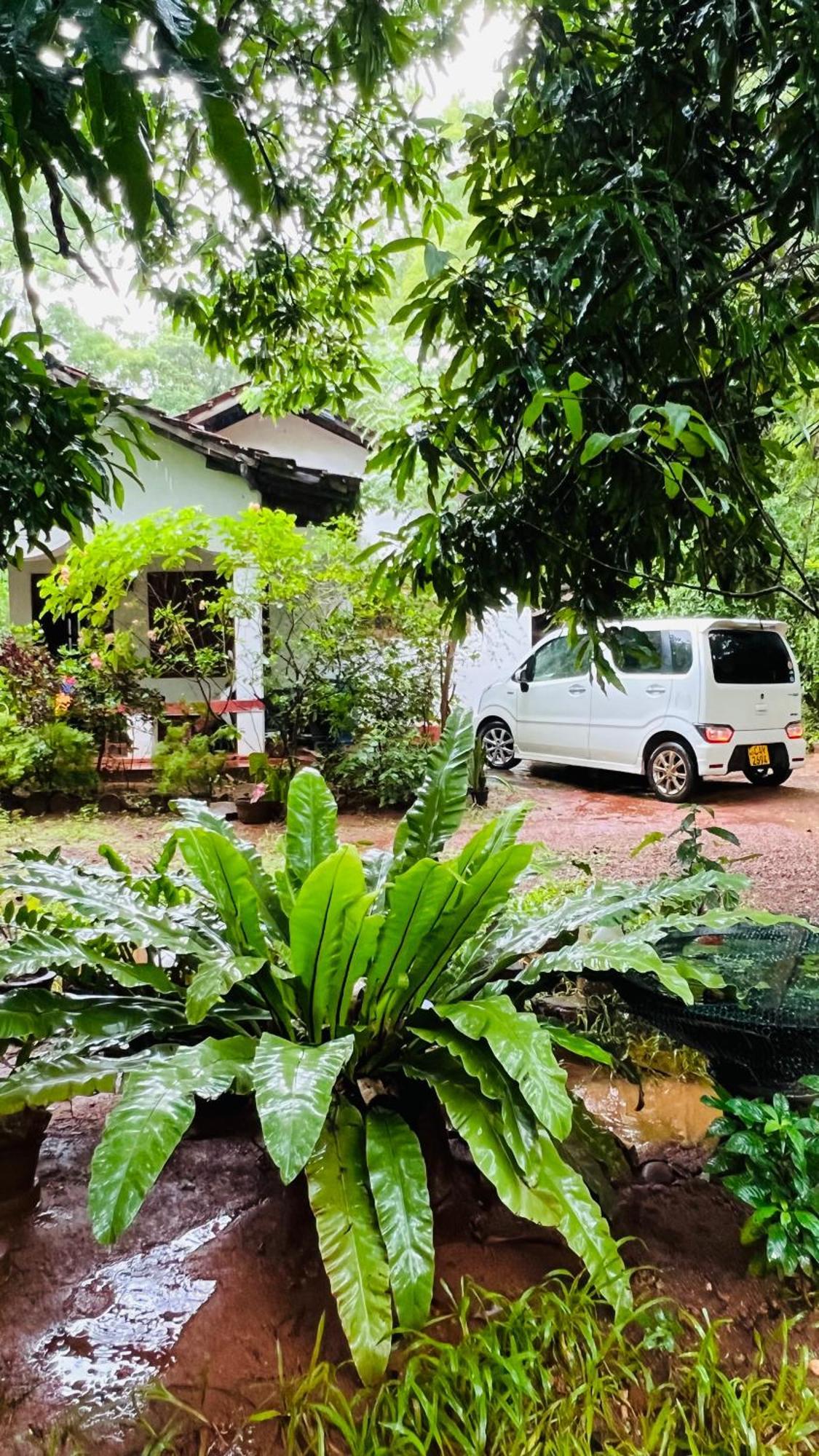 Kataragama Homestay Exteriér fotografie