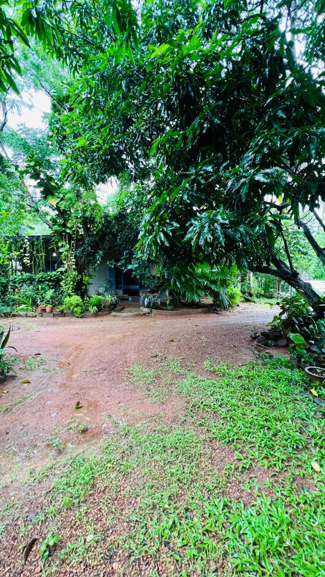 Kataragama Homestay Exteriér fotografie