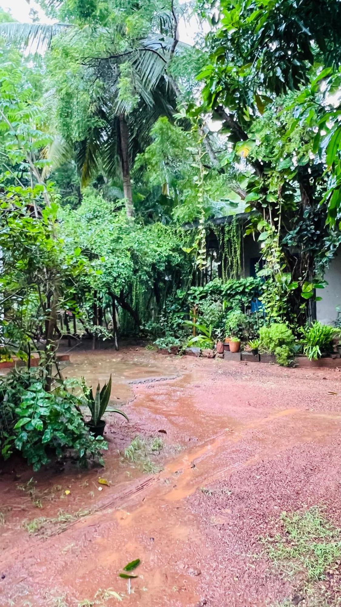 Kataragama Homestay Exteriér fotografie