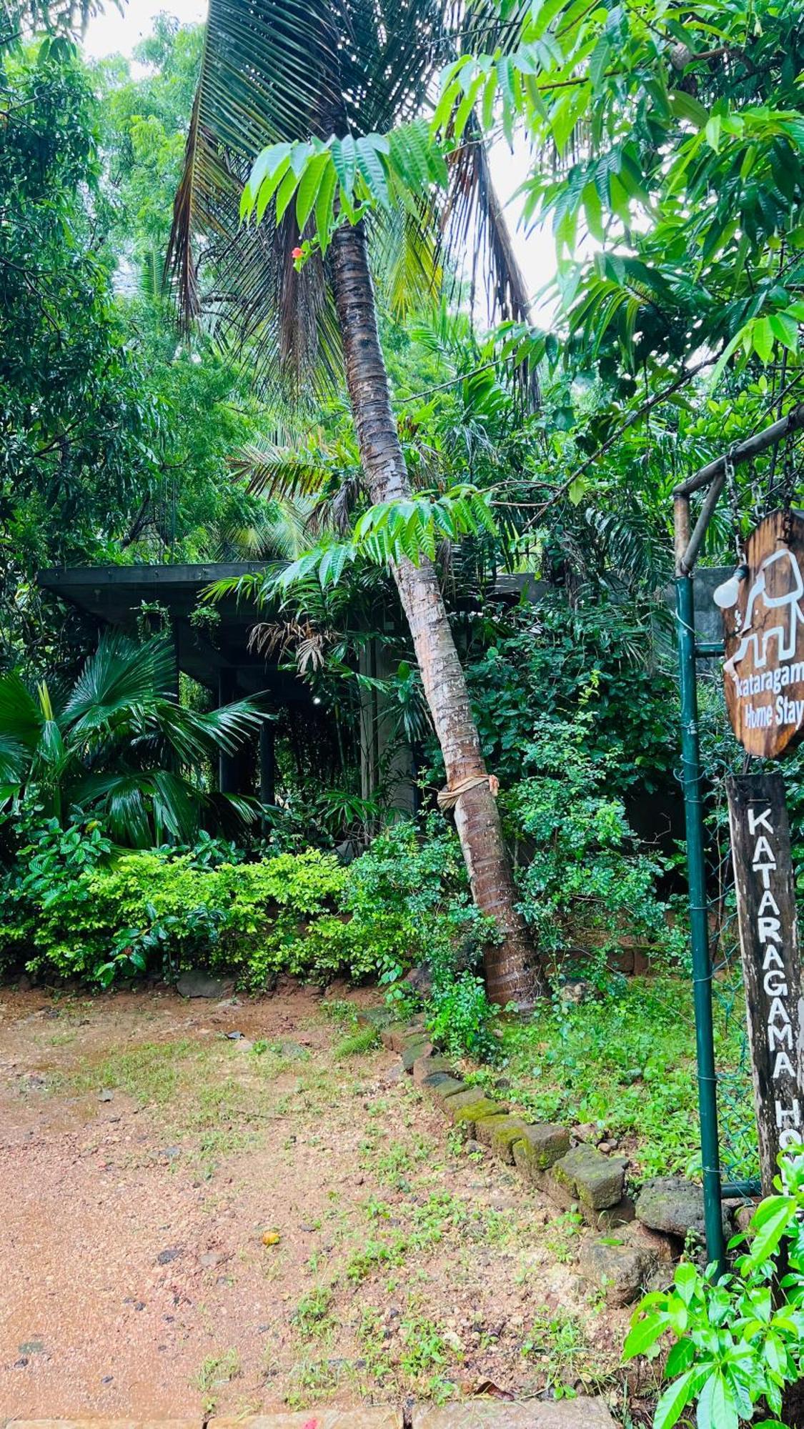 Kataragama Homestay Exteriér fotografie