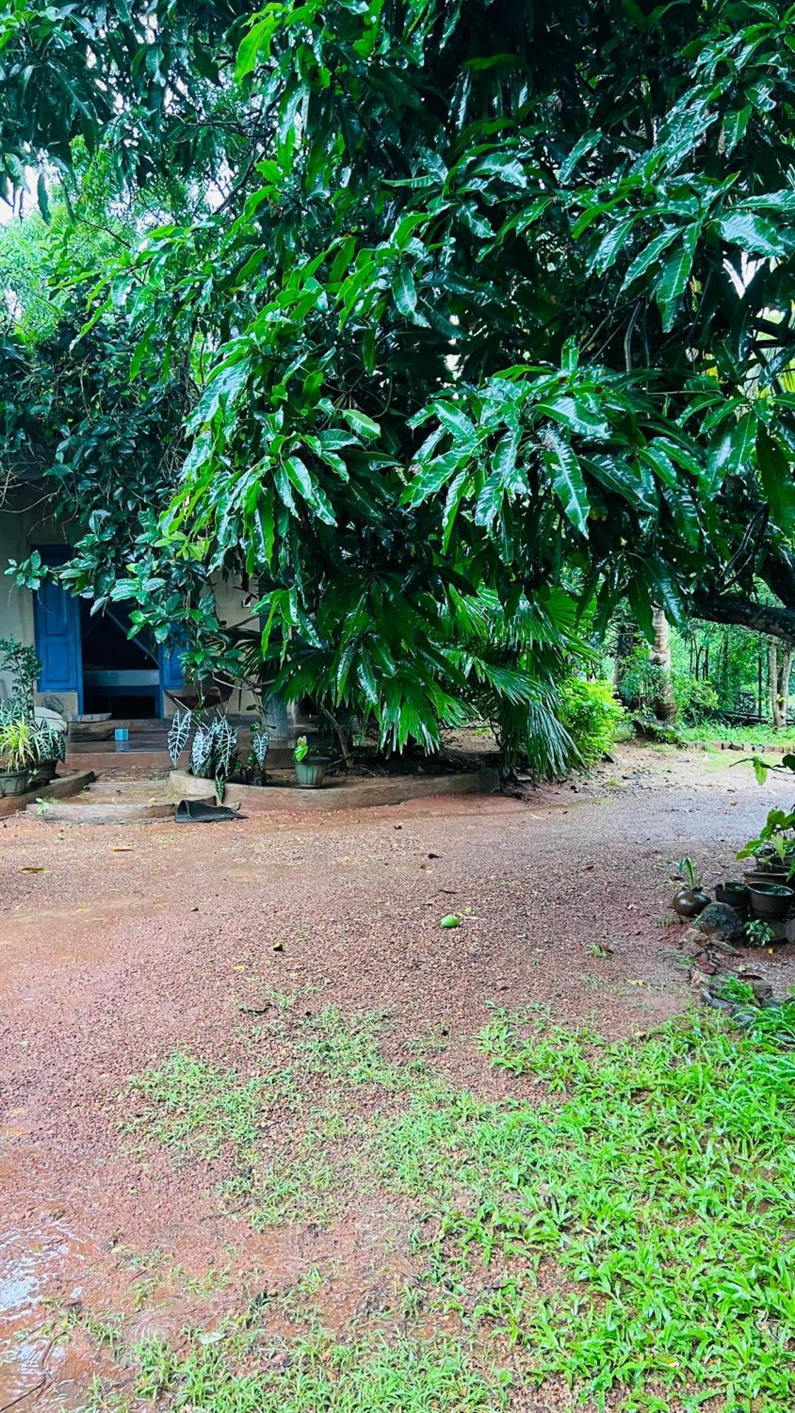 Kataragama Homestay Exteriér fotografie