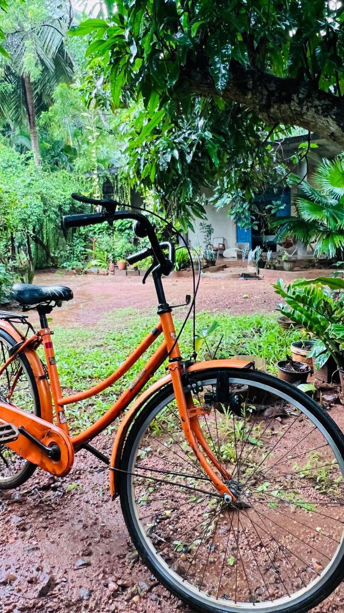 Kataragama Homestay Exteriér fotografie