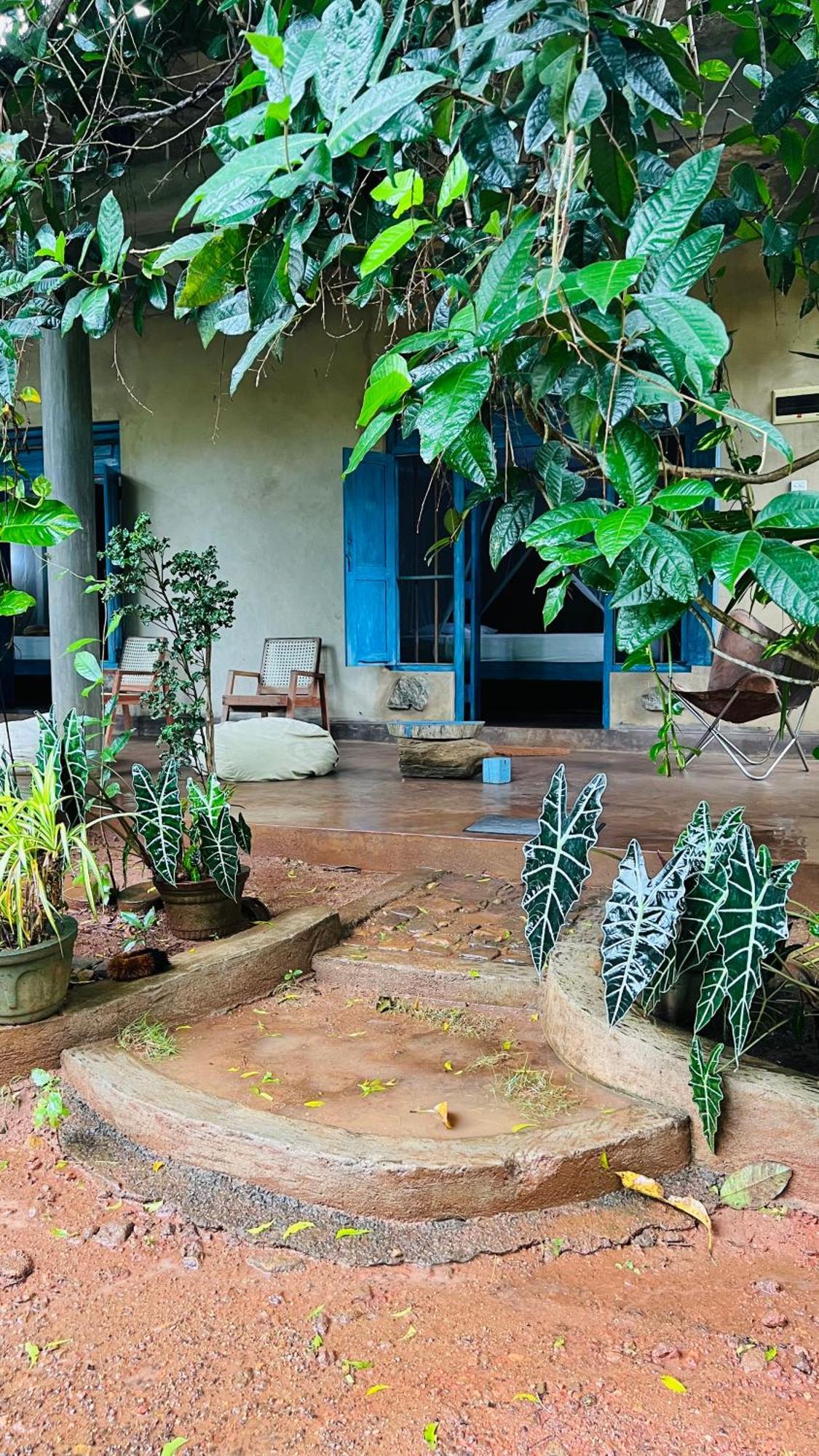 Kataragama Homestay Exteriér fotografie