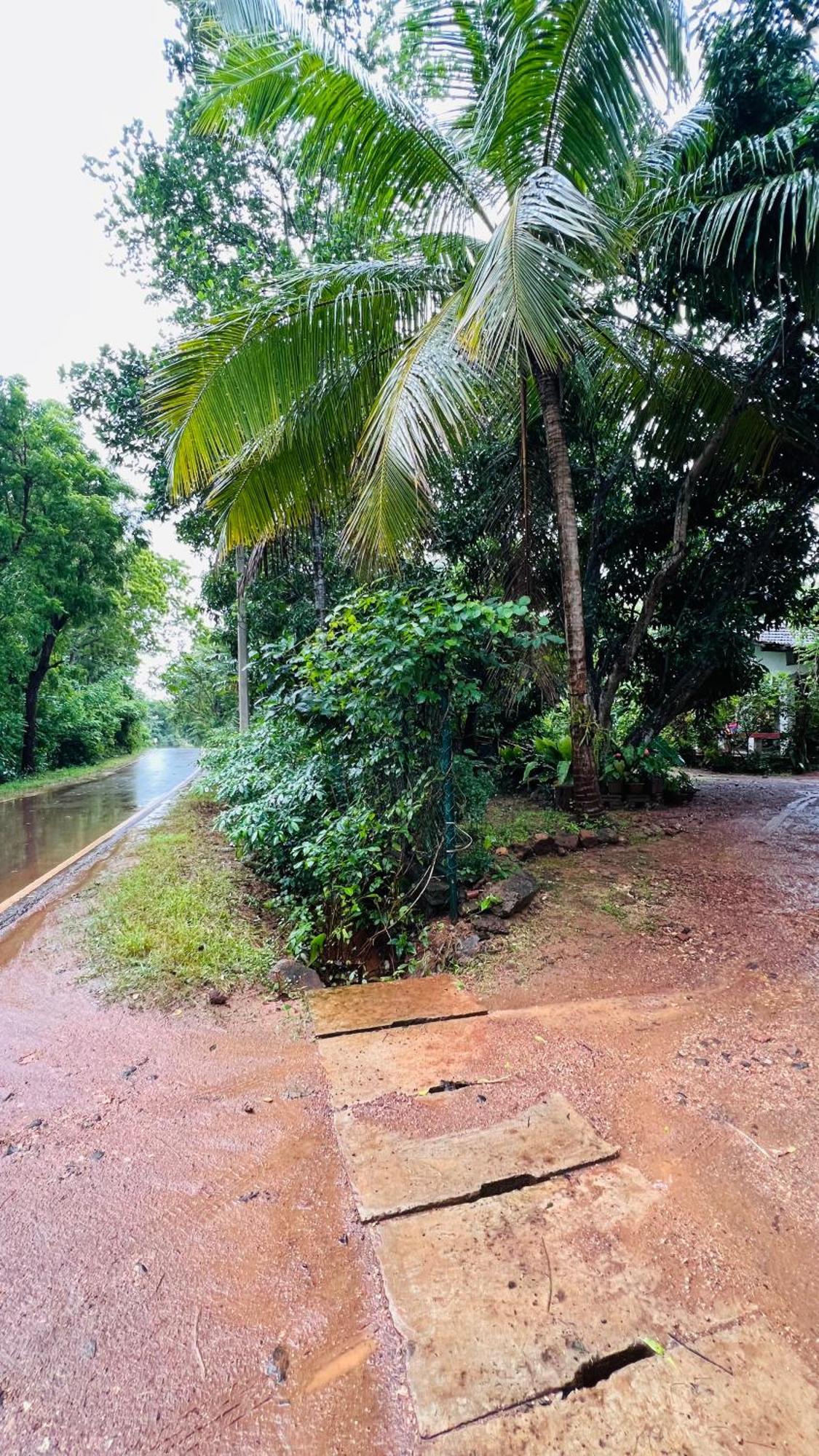 Kataragama Homestay Exteriér fotografie