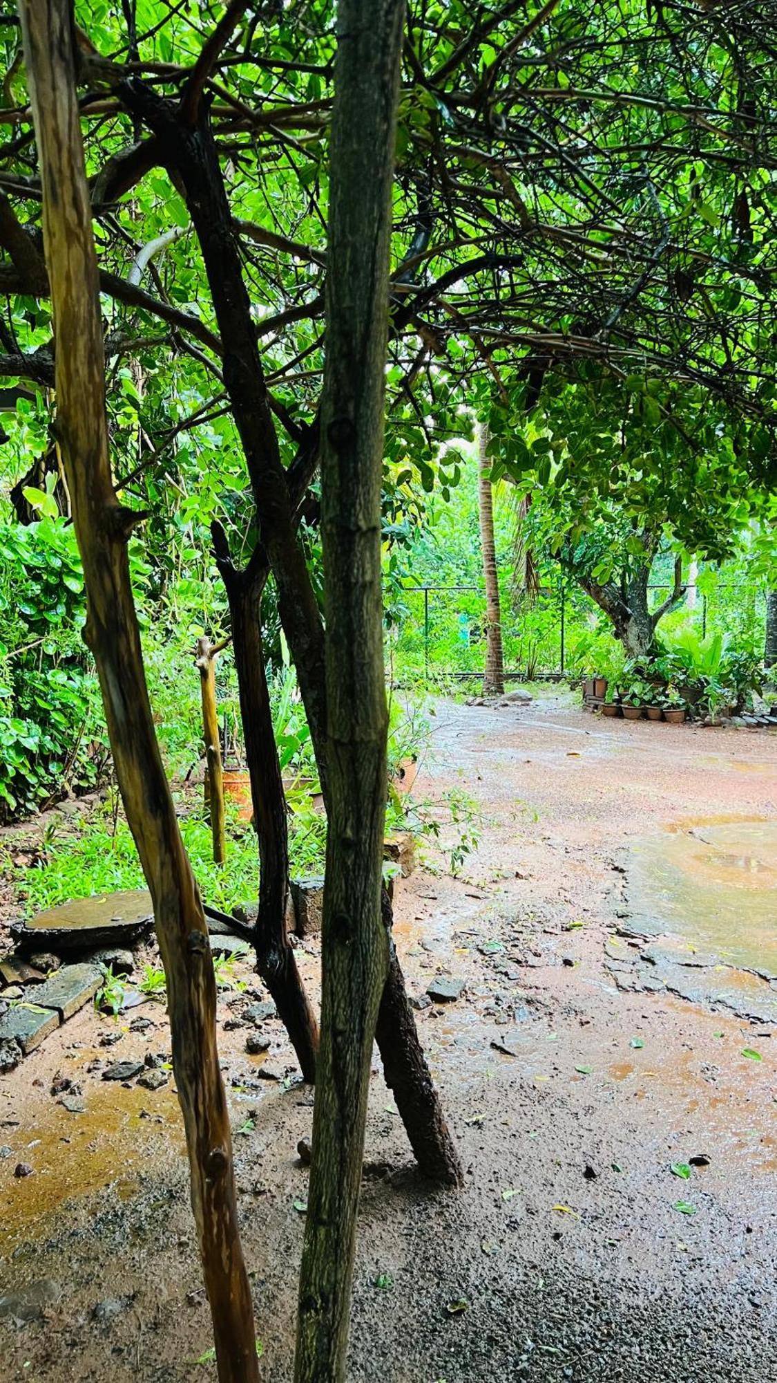 Kataragama Homestay Exteriér fotografie